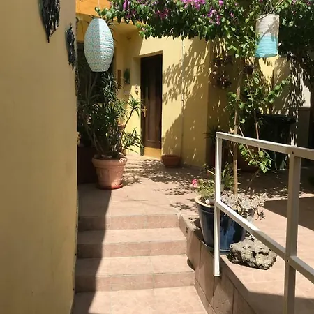 Bougainvillea
