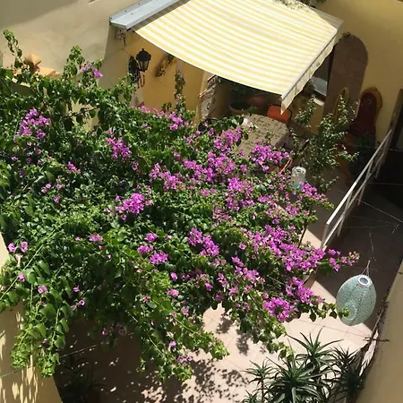 Holiday Bougainvillea Crikvenica